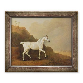 Tablou inramat - John Boultbee - Un armasar arab gri intr-un peisaj desert, 70 x 85 cm Tablou inramat - John Boultbee - Un armasar arab gri intr-un peisaj desert, 70 x 85 cm