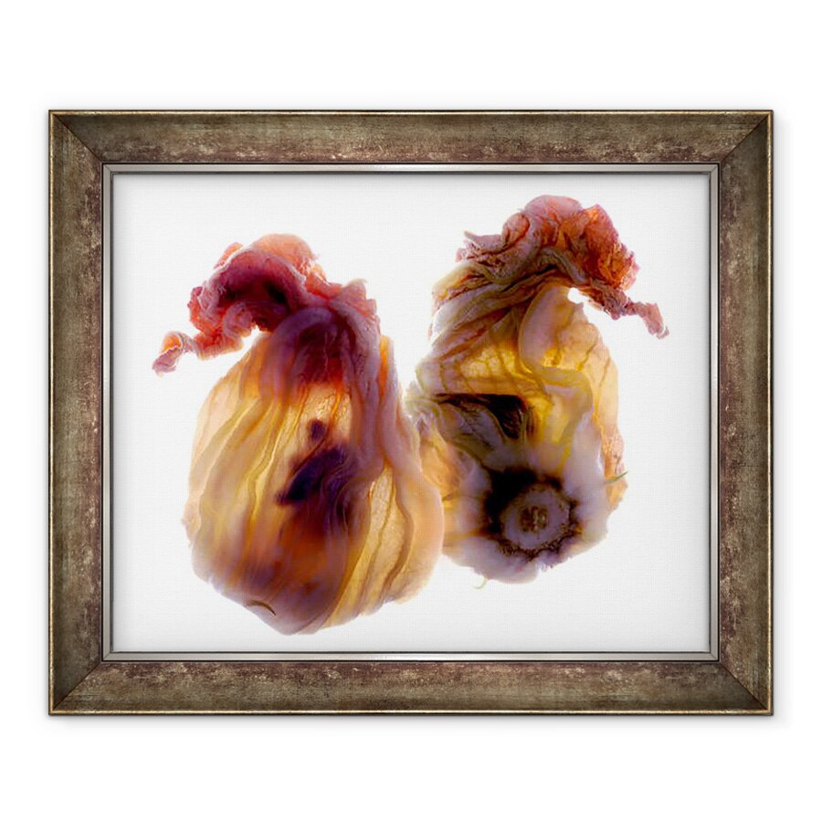 Tablou inramat - Julia McLemore - Duo Zucchini Blossom, 2009, 50 x 60 cm