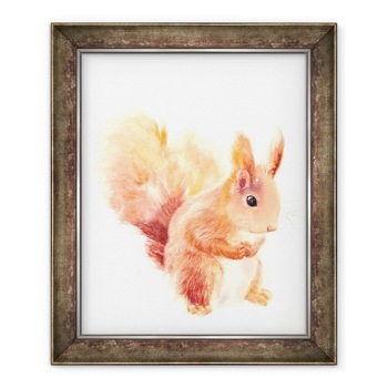 Tablou inramat - Laura Dennis - Squirrel, 70 x 85 cm Tablou inramat - Laura Dennis - Squirrel, 70 x 85 cm