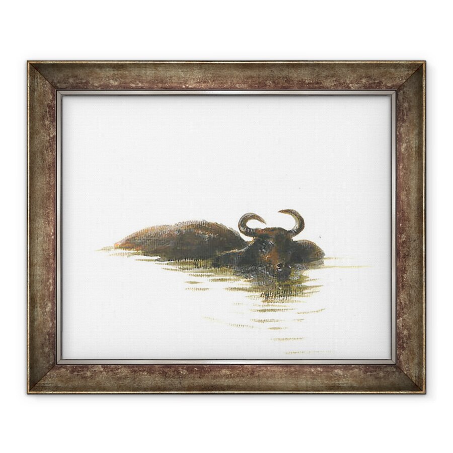Tablou inramat - Lincoln Seligman - Bivol de apa 2, 50 x 60 cm