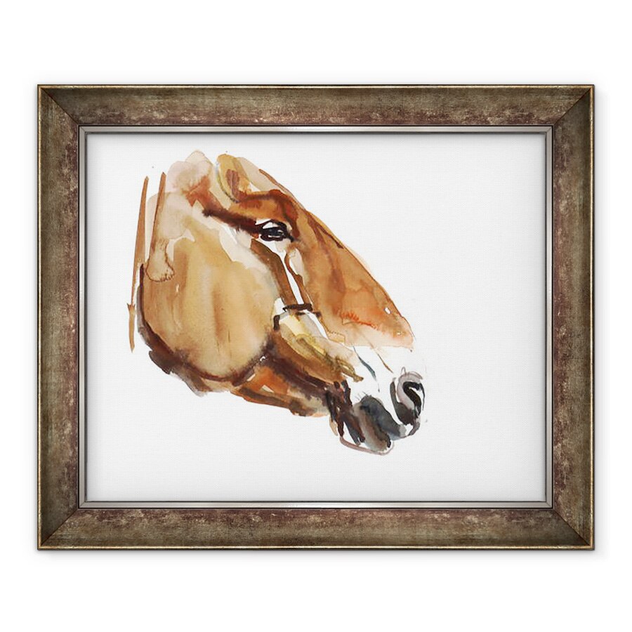 Tablou inramat - Mark Adlington - Cap antic Przewalski 2012, 70 x 85 cm