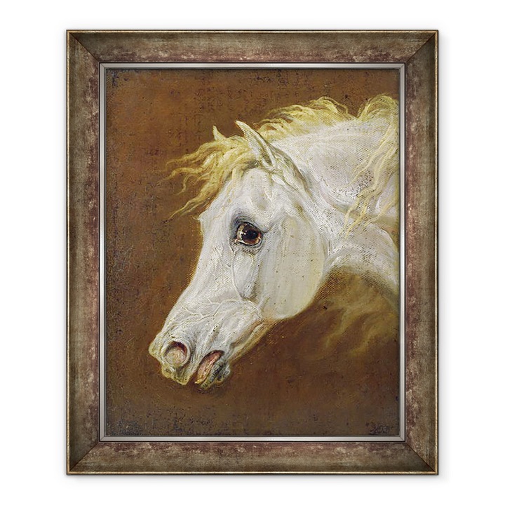 Tablou inramat - Martin Theodore Ward - Capul unui cal arab gri, 50 x 60 cm