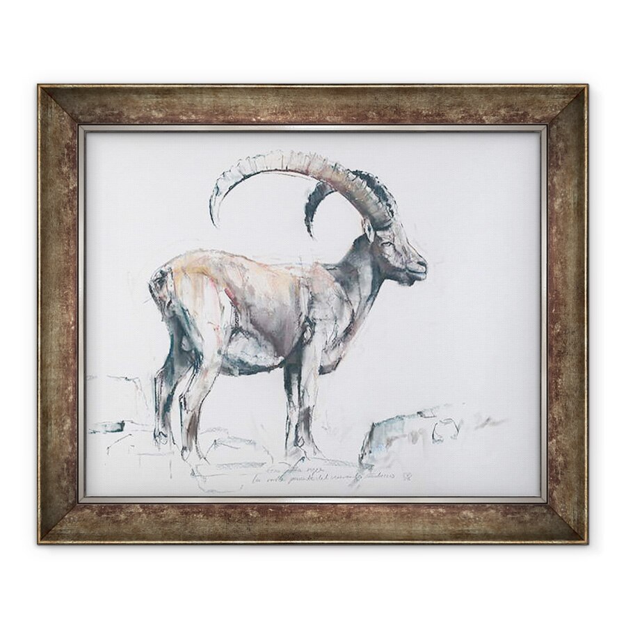 Tablou inramat - Mark Adlington - Venerando Stambecco, 70 x 85 cm