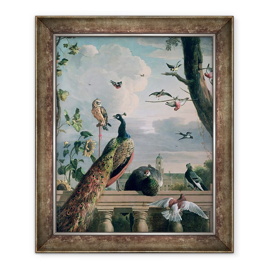 Tablou inramat - Melchior de Hondecoeter - Palatul Amsterdamului cu pasari exotice, 70 x 85 cm