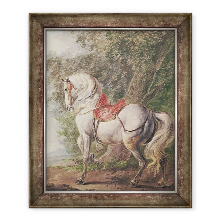 Tablou inramat - Philips Wouwermans - Un cal alb, 70 x 85 cm