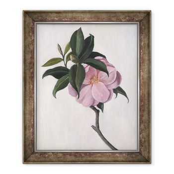 Tablou inramat - Ruth Addinall - Camellia, 70 x 85 cm Tablou inramat - Ruth Addinall - Camellia, 70 x 85 cm