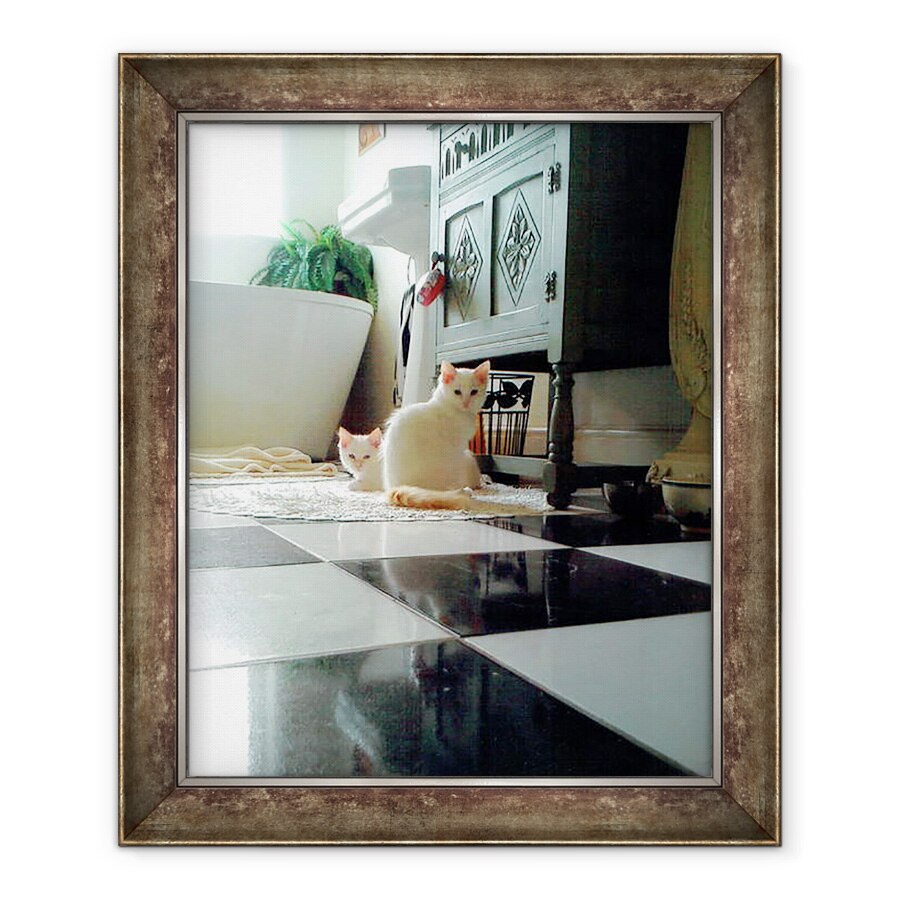 Tablou inramat - Vincent Alexander Booth - Pisici Puddy, 2017, 70 x 85 cm