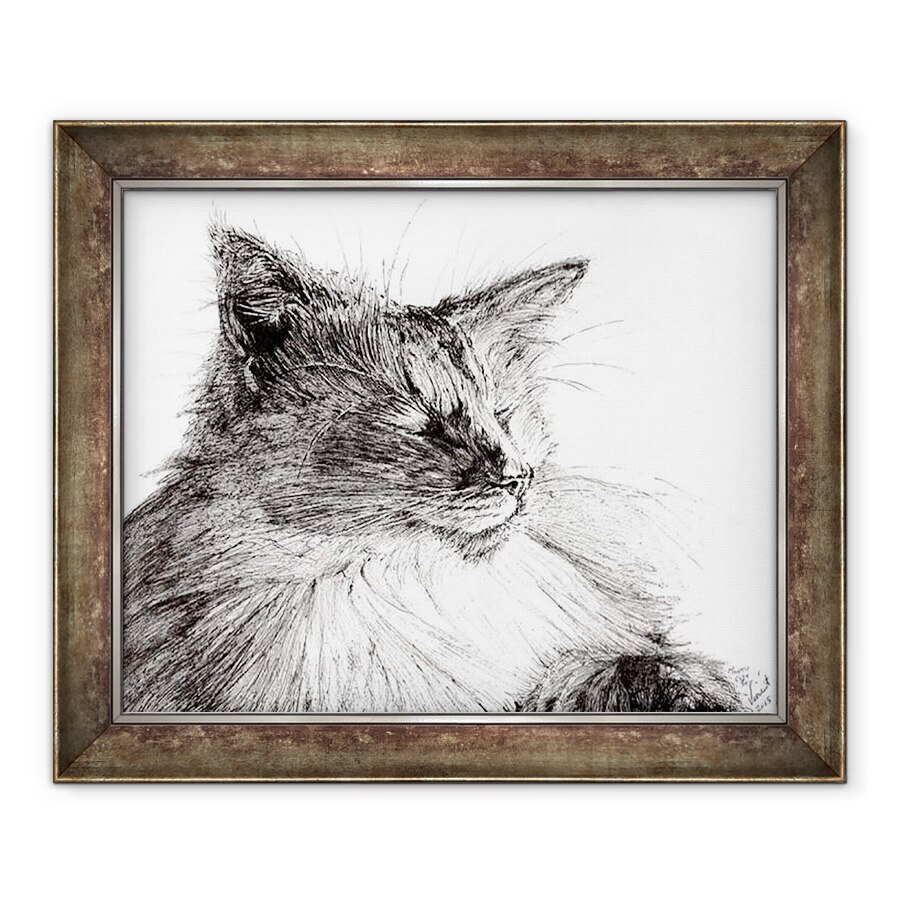 Tablou inramat - Vincent Alexander Booth - Monty baiat confortabil, 2015, 70 x 85 cm