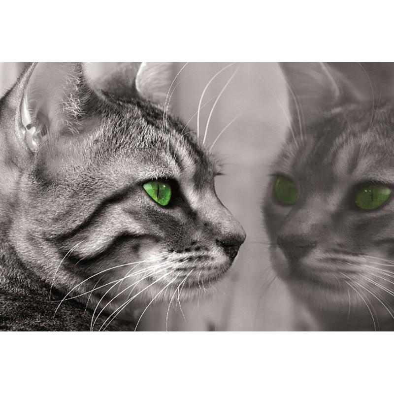 Fototapet consalnet cu Pisica 139P8 marime 368cm x 254cm