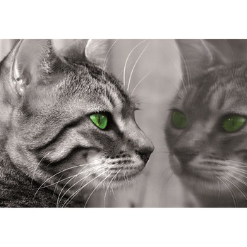 Fototapet consalnet cu Pisica 139P8 marime 368cm x 254cm Fototapet consalnet cu Pisica 139P8 marime 368cm x 254cm