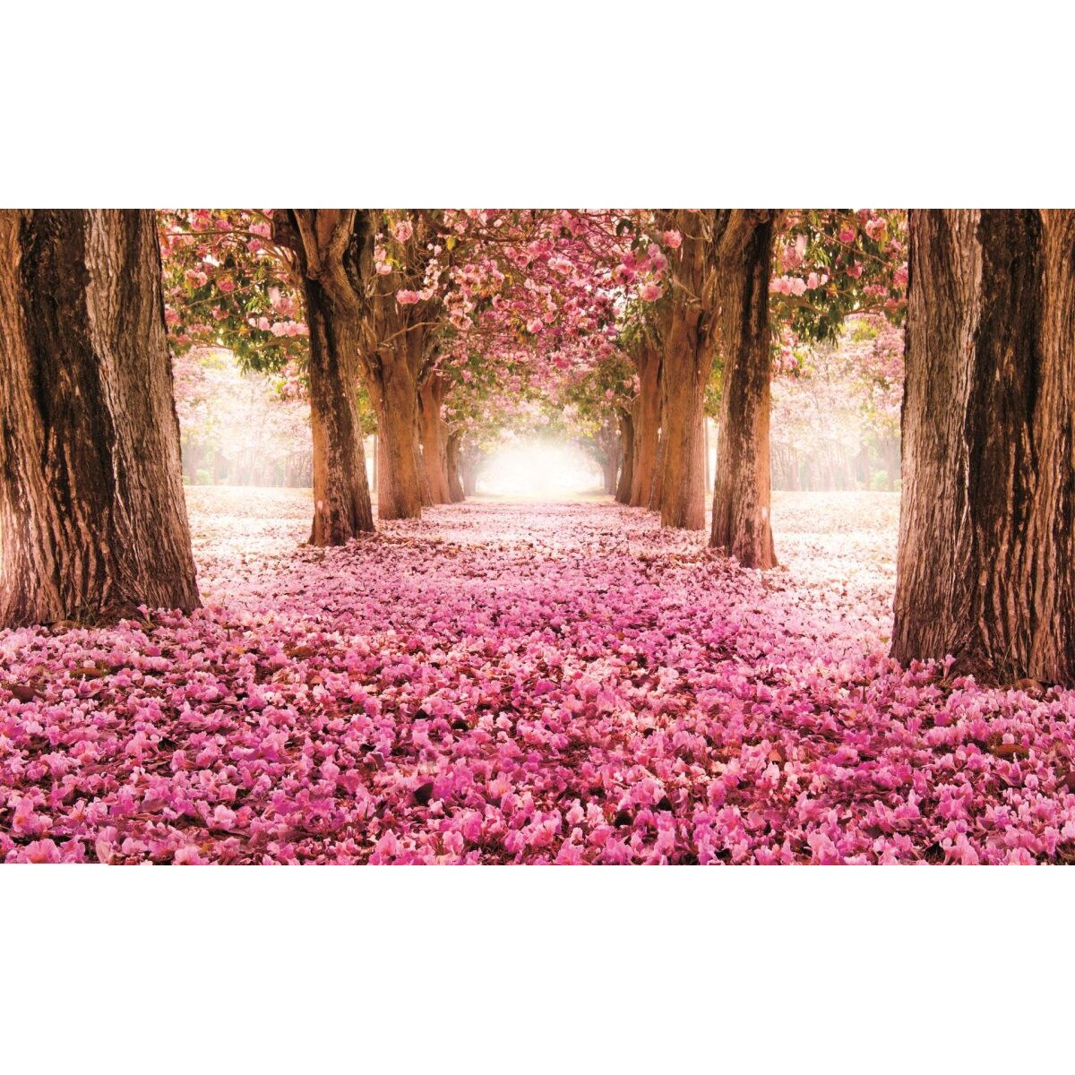 Fototapet consalnet cu Flori 851VEXL dimensiune 208cm x 146cm