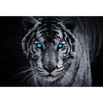 Fototapet consalnet cu Tigru 153P8 marime 368cm x 254cm Fototapet consalnet cu Tigru 153P8 marime 368cm x 254cm