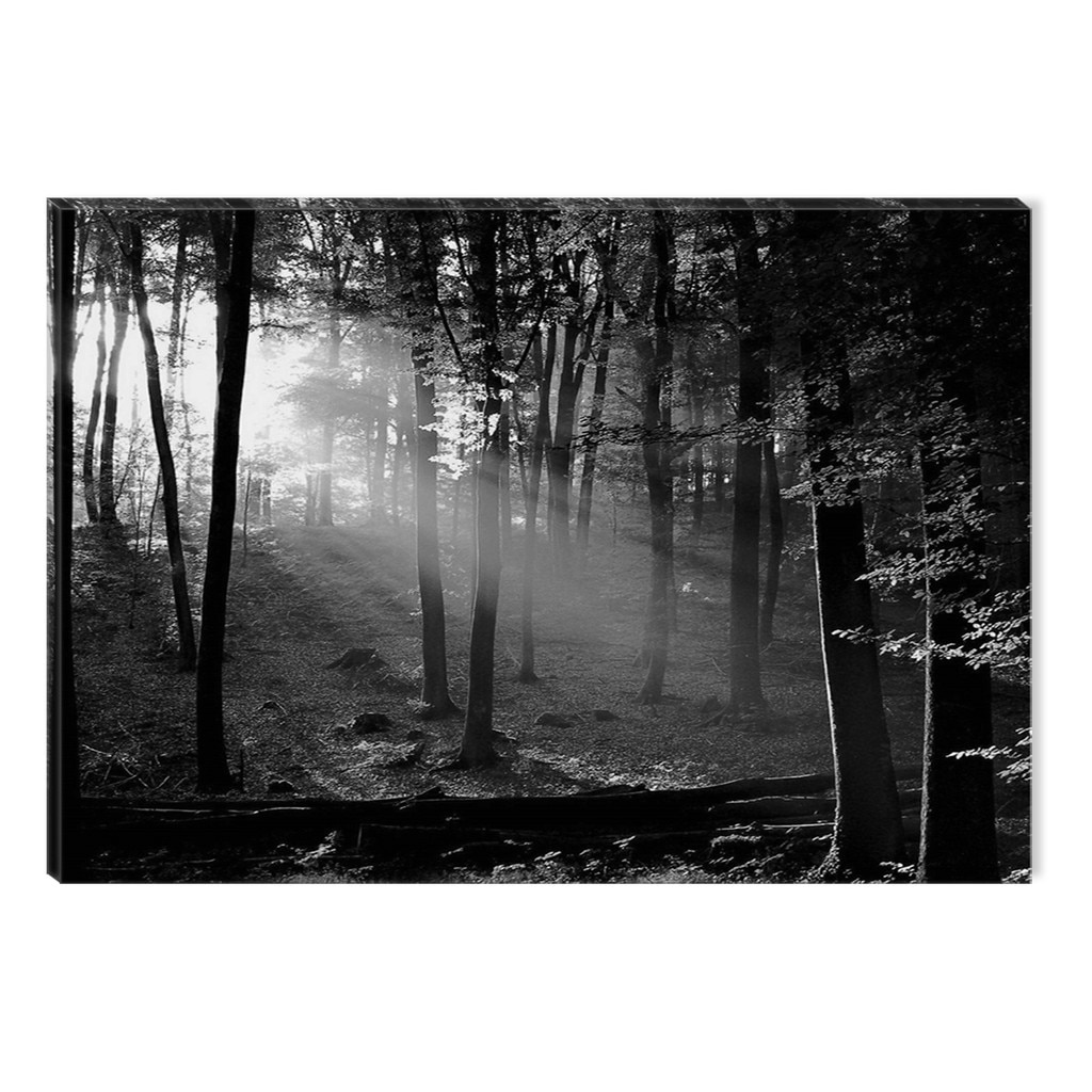 Tablou DualView Startonight Dimineata in alb negru, luminos in intuneric, 80 x 120 cm