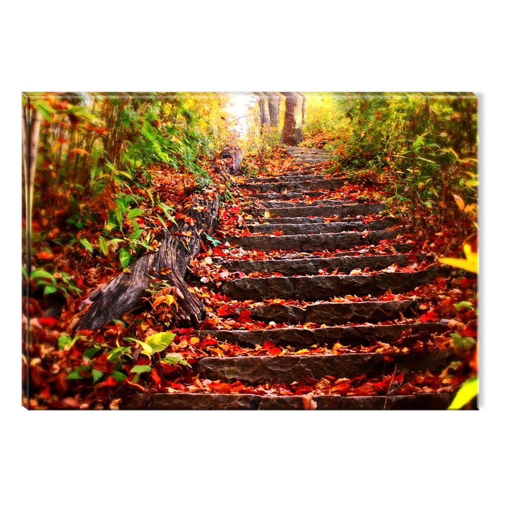 Tablou DualView Startonight Trepte Rosii in Padure, luminos in intuneric, 80 x 120 cm