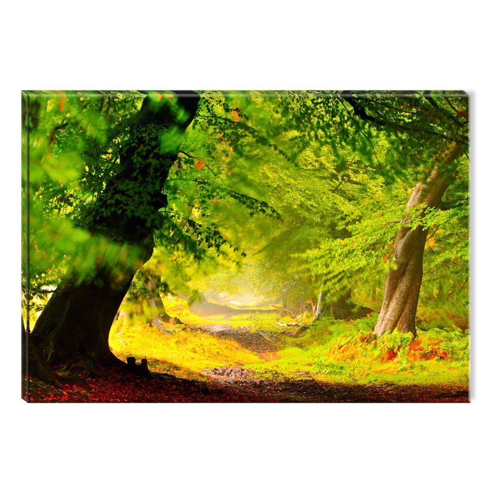 Tablou DualView Startonight Linia Vietii in Padure, luminos in intuneric, 60 x 90 cm