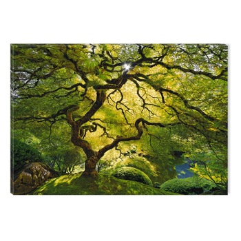 Tablou DualView Startonight Artar Verde, luminos in intuneric, 20 x 30 cm Tablou DualView Startonight Artar Verde, luminos in intuneric, 20 x 30 cm