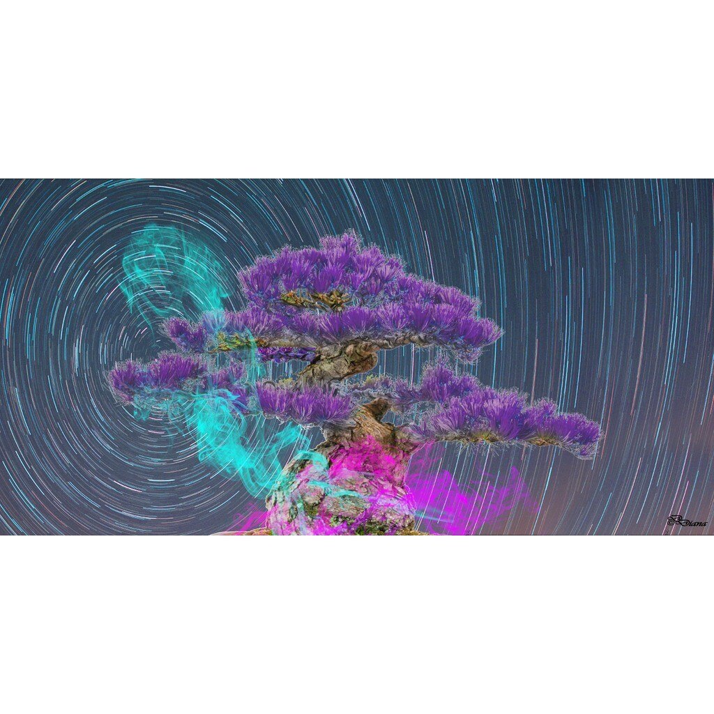 Tablou DualView Startonight Bonsai Roz, luminos in intuneric, 20 x 40 cm