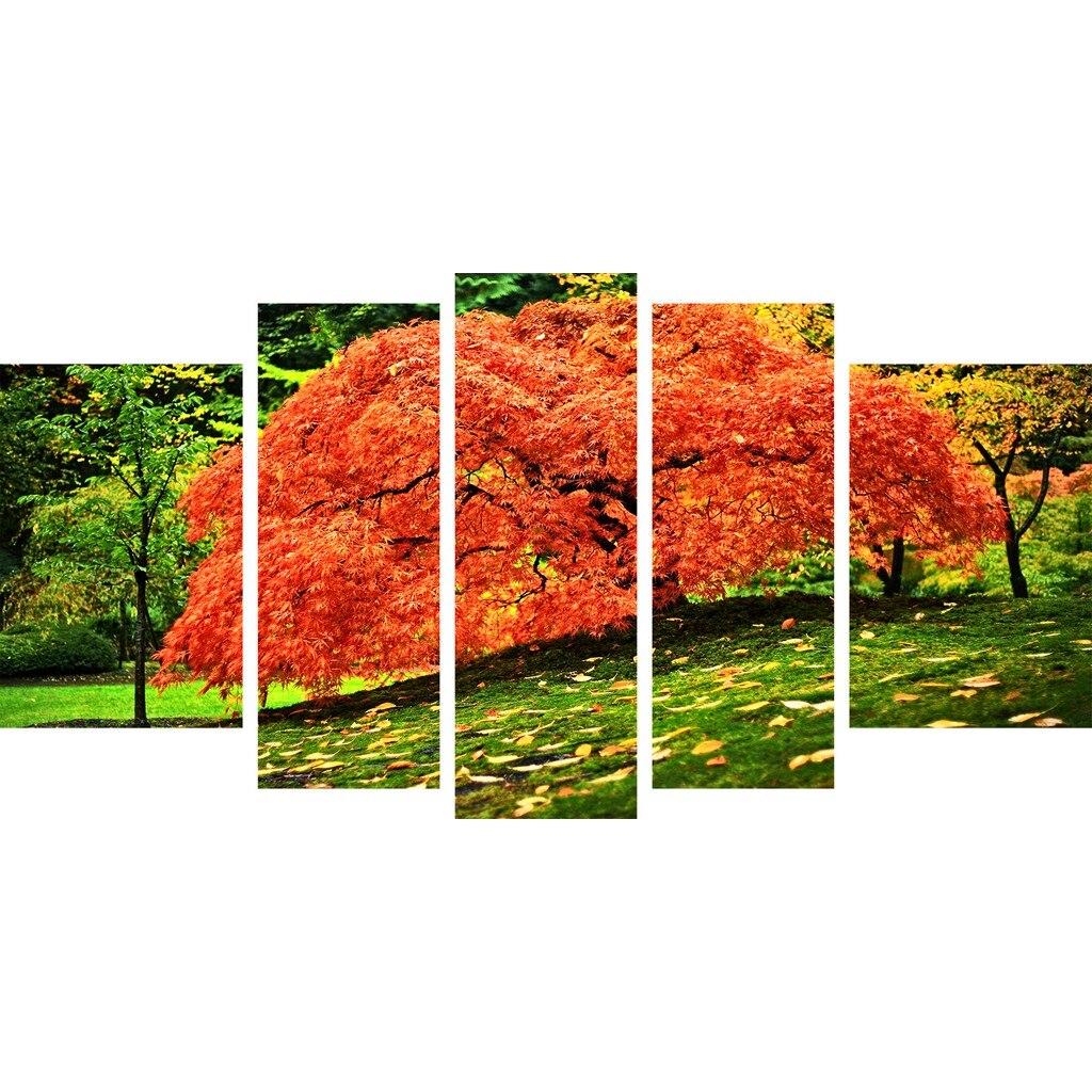 Set Tablou DualView Startonight Copac Rosu in Padure, 5 piese, luminos in intuneric, 90 x 180 cm (1 piesa 30 x 90 cm, 2 piese 30 x 80 cm, 2 piese 40 x 60 cm)