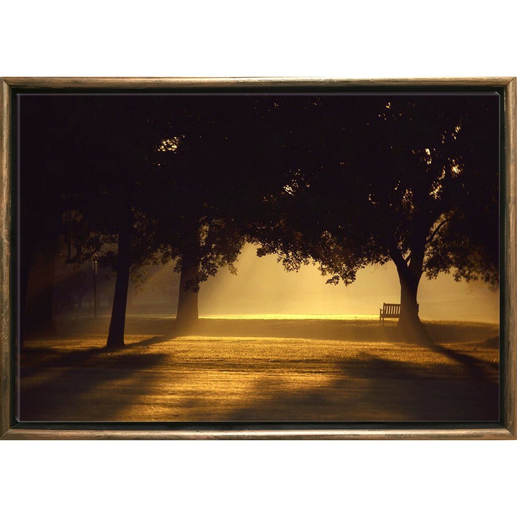 Tablou DualView Startonight Copaci de dimineata, Rama exterioara Luxury Bronze, luminos in intuneric, 70 x 100 cm