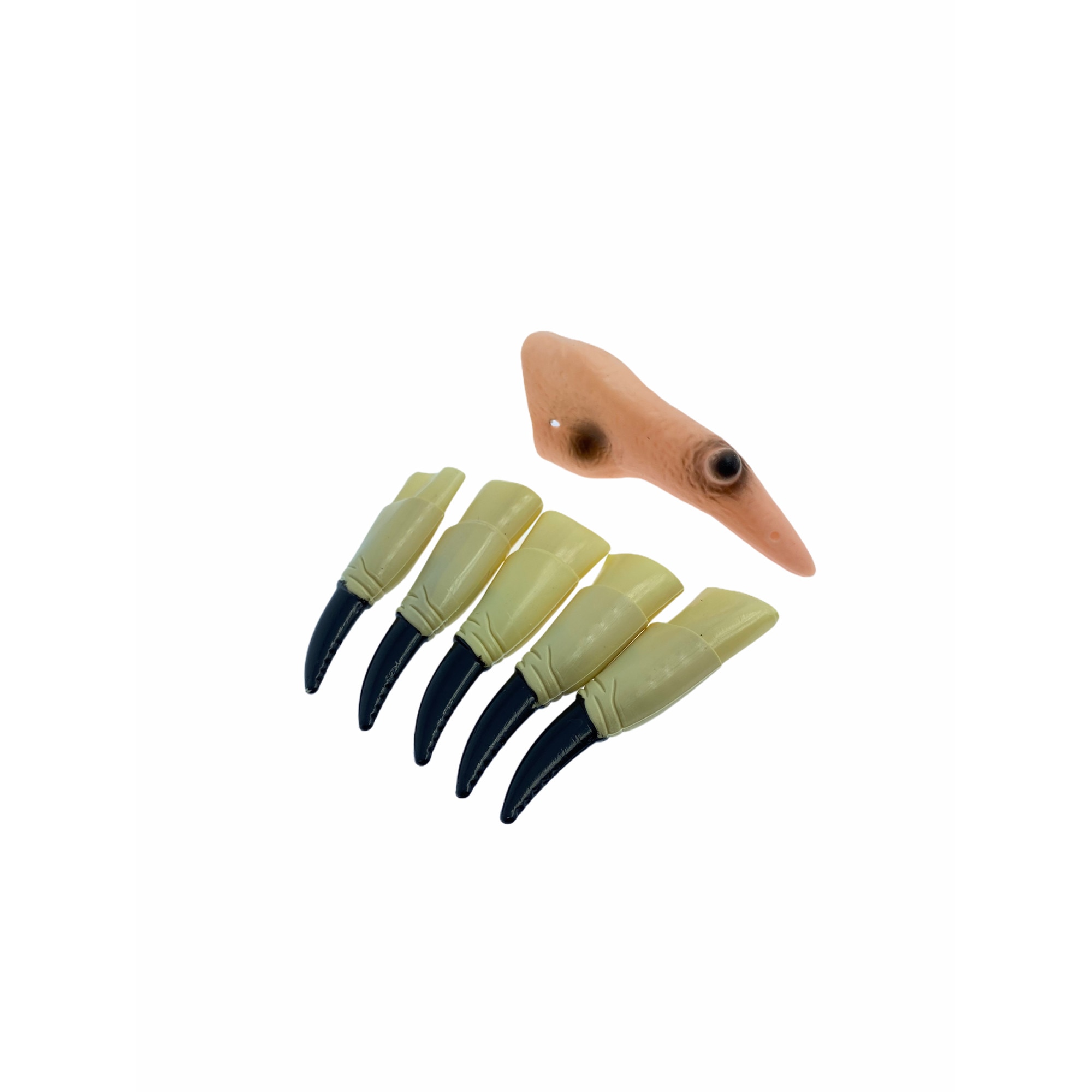 Set Atelier nas si unghii vrajitoare pentru Halloween