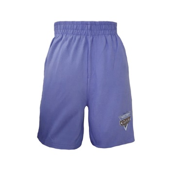 Pantaloni scurti baieti Cars Disney, albastru, 116-122 cm Pantaloni scurti baieti Cars Disney, albastru, 116-122 cm