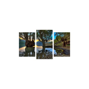 Tablou multicanvas 3 piese 150x90 cm, Natura model 81 Tablou multicanvas 3 piese 150x90 cm, Natura model 81