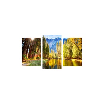 Tablou multicanvas 3 piese 150x90 cm, Natura model 17 Tablou multicanvas 3 piese 150x90 cm, Natura model 17