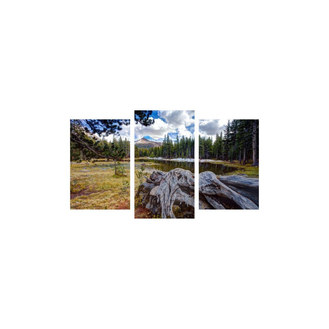 Tablou multicanvas 3 piese 150x90 cm, Natura model 18