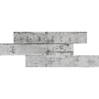 panouri din polistiren textura piatra st-06 16 bucati 1 cutie cu 25 mp imagen 9_0_
0