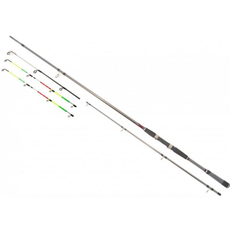 Lanseta Daiwa Seahunter X Variotip 2.70M 30-110G