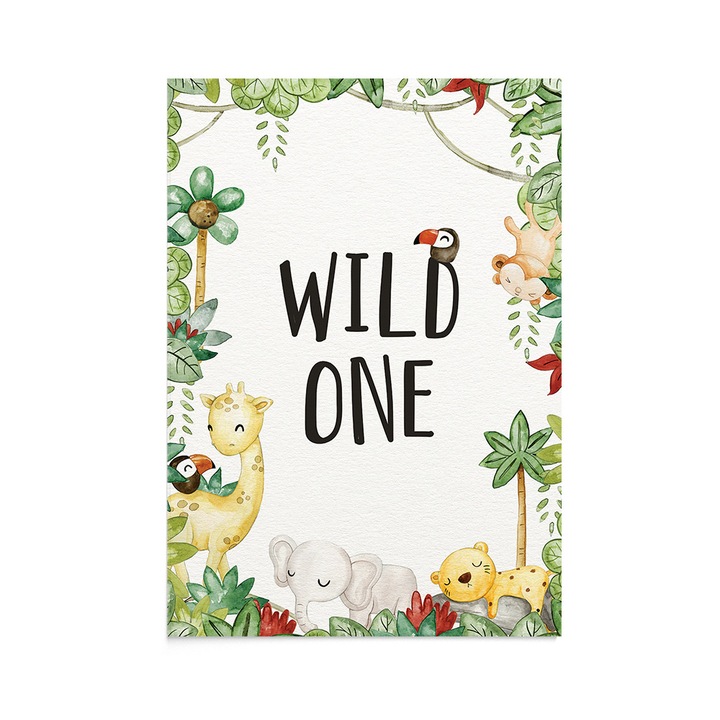 Felicitare copii Wild One