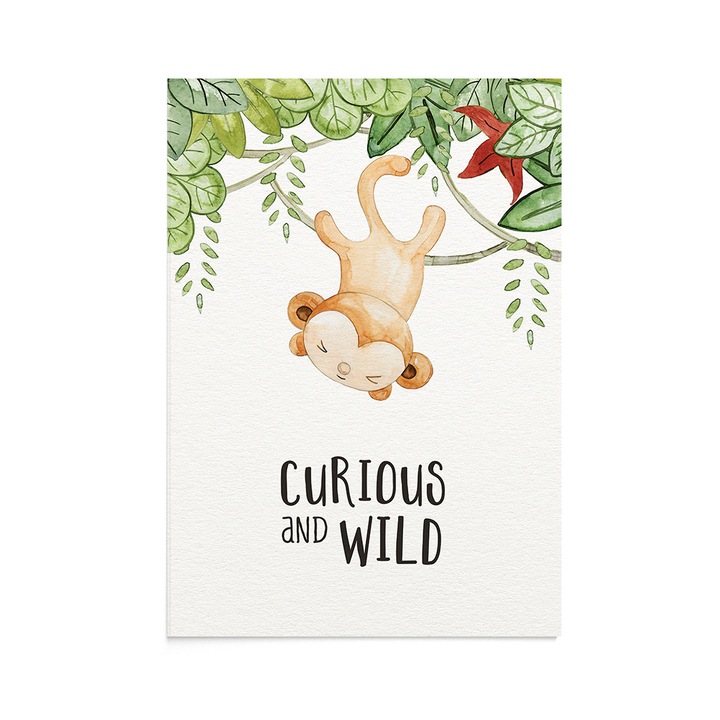 Felicitare copii Wild Monkey