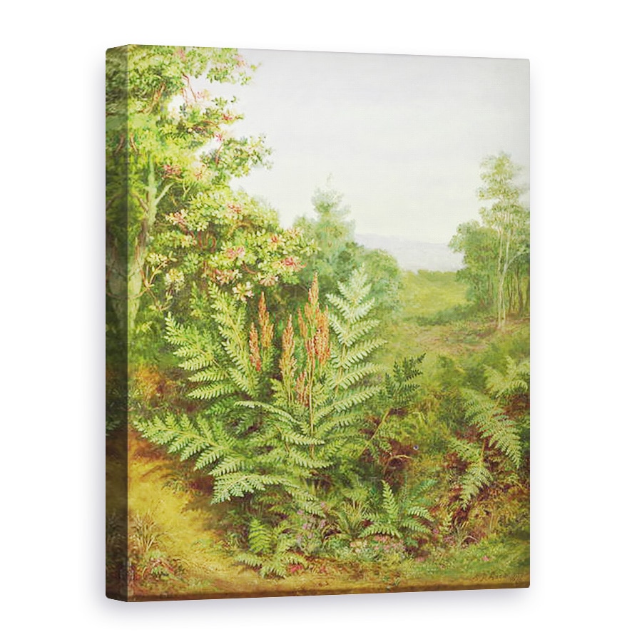 Tablou canvas - Albert Durer Lucas - Caprifoi si Ferigi, 75 x 100 cm