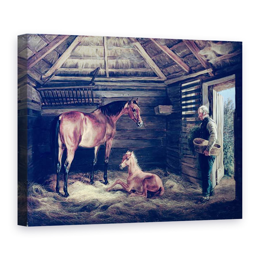 Tablou canvas - Albrecht Adam - Engleza Mare Cu Ei Foals, 75 x 100 cm