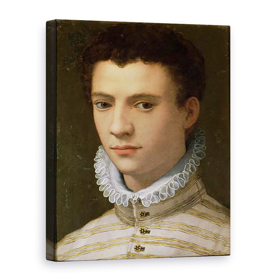 Tablou canvas - Agnolo di Cosimo Bronzino - Portretul unui Tanar, 75 x 100 cm