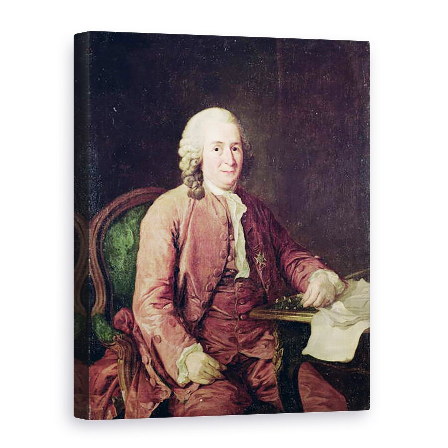Tablou canvas - Alexander Roslin - Portretul lui Carl von Linnaeus 1707-78, 75 x 100 cm
