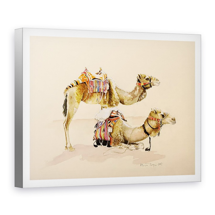 Tablou canvas - Alison Cooper - Camile din Petra, 75 x 100 cm