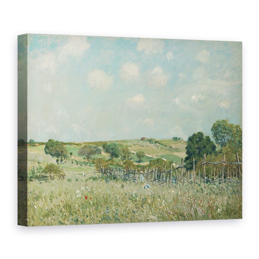 Tablou canvas - Alfred Sisley - Lunca, 75 x 100 cm