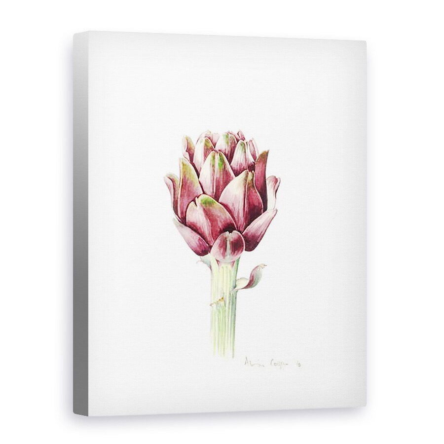 Tablou canvas - Alison Cooper - Anghinare Sardinian, 2016, 75 x 100 cm