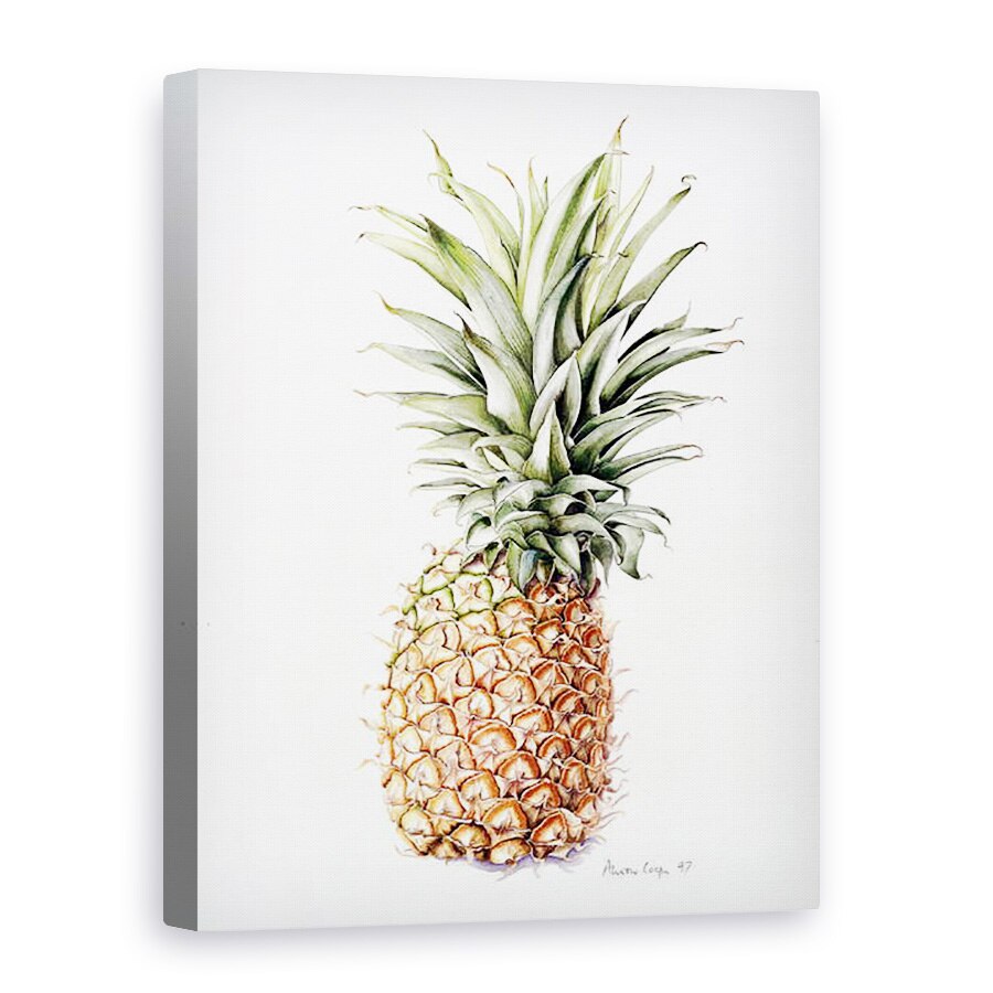 Tablou canvas - Alison Cooper - Ananas, 75 x 100 cm