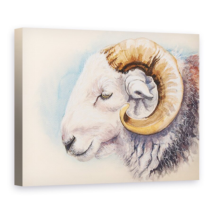 Tablou canvas - Alison Cooper - Un Herdwick Ram, 75 x 100 cm