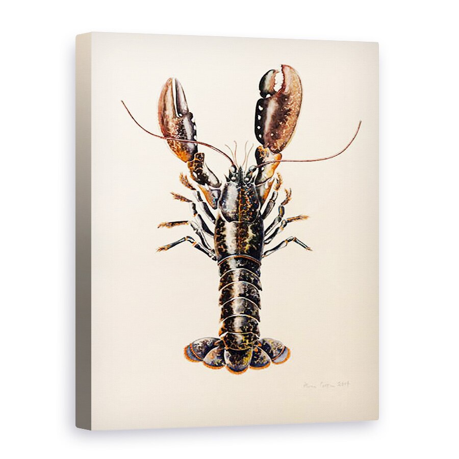 Tablou canvas - Alison Cooper - Homar din Solva, 2014, 75 x 100 cm