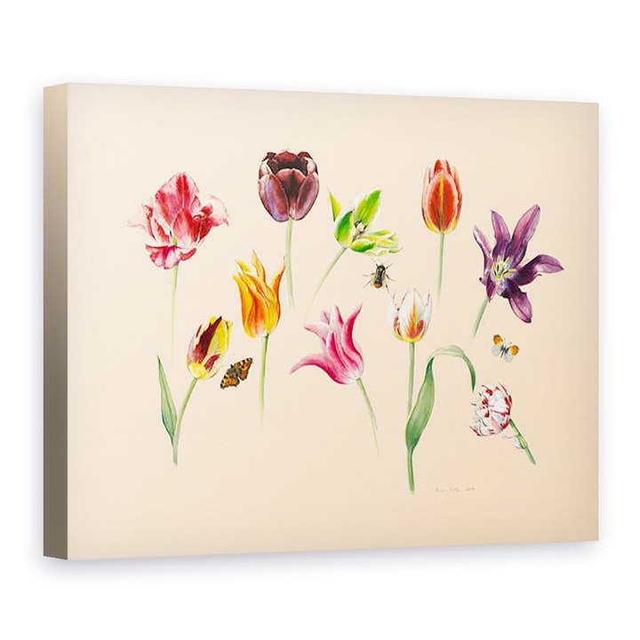 Tablou canvas - Alison Cooper - lalele de primavara si insecte, 60 x 80 cm