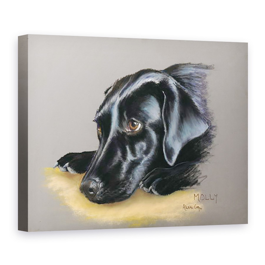 Tablou canvas - Alison Cooper - Nevinovat, 75 x 100 cm