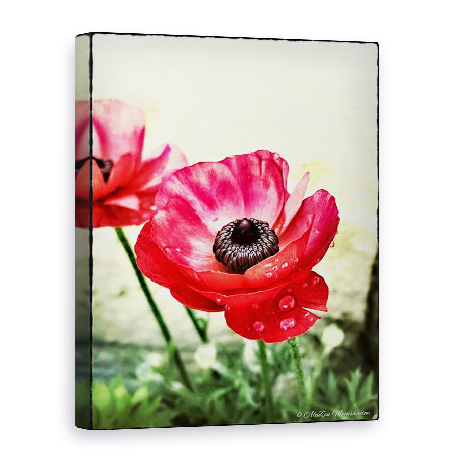 Tablou canvas - AlyZen Moonshadow - Anemone Rosii, 2013, 75 x 100 cm