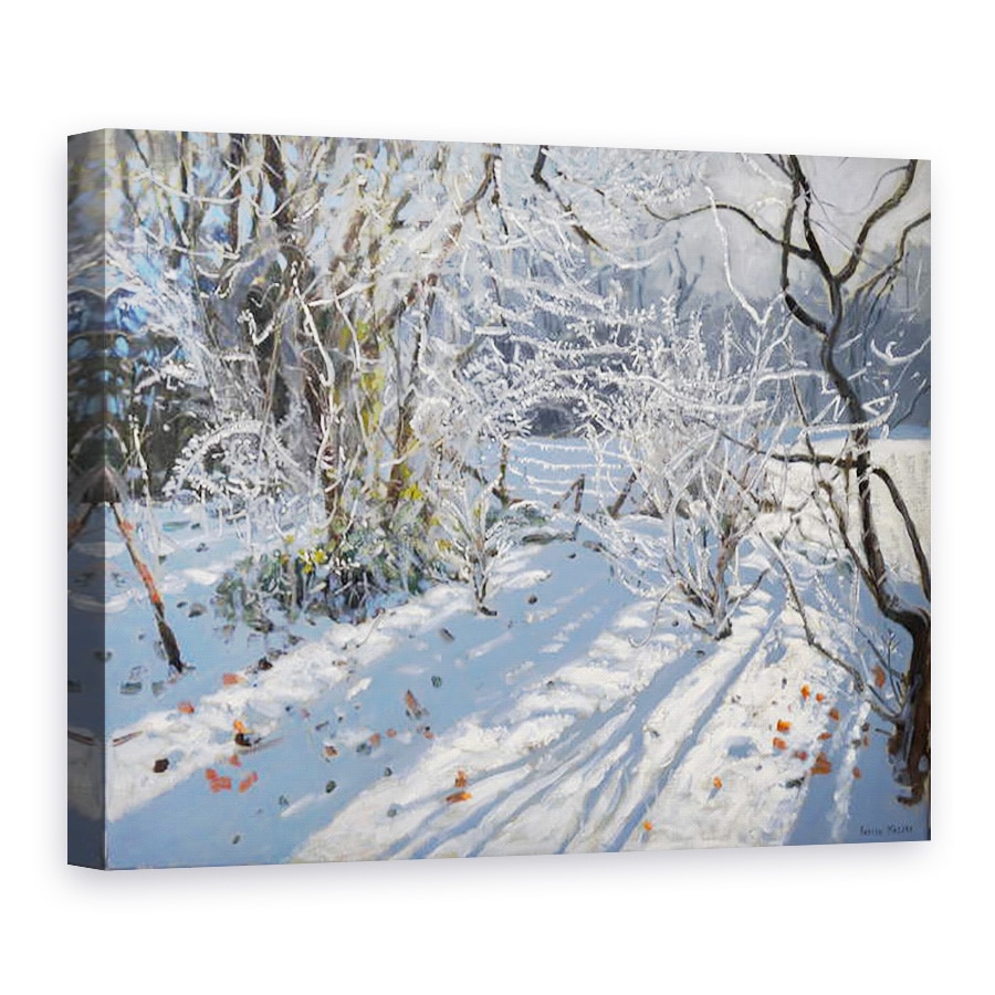 Tablou canvas - Andrew Macara - Hoar Frost, 75 x 100 cm