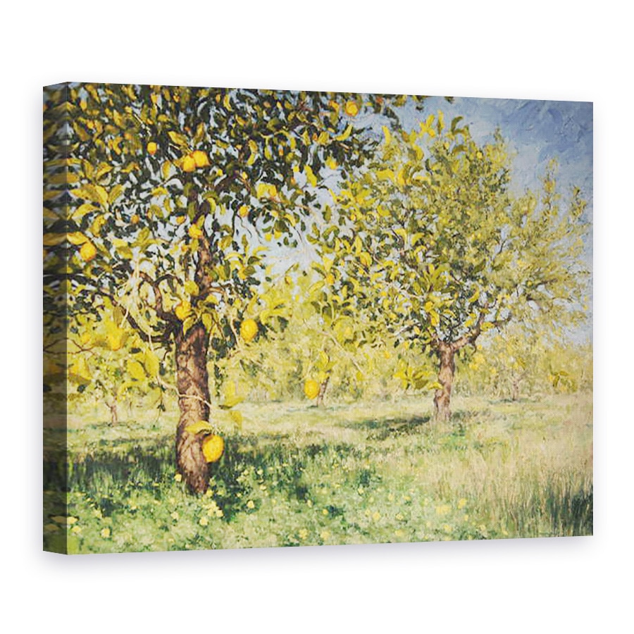 Tablou canvas - angus hampel - Imposibilitatea unui copac de lamaie, 2013, 75 x 100 cm