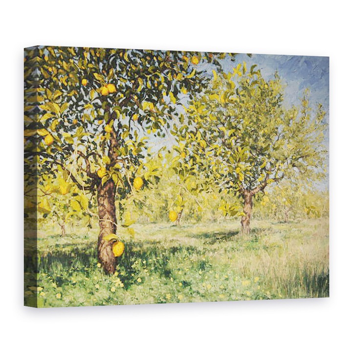 angus hampel - A citromfa lehetetlensége, 2013, Vászonkép, 75 x 100 cm