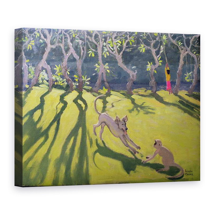 Tablou canvas - Andrew Macara - Caine si Maimuta, Sri Lanka, 75 x 100 cm