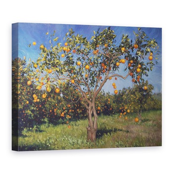 Tablou canvas - angus hampel - Suntree, 2013, 75 x 100 cm Tablou canvas - angus hampel - Suntree, 2013, 75 x 100 cm